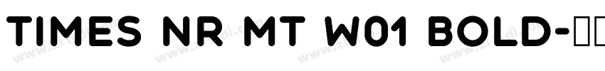 Times NR MT W01 Bold字体转换